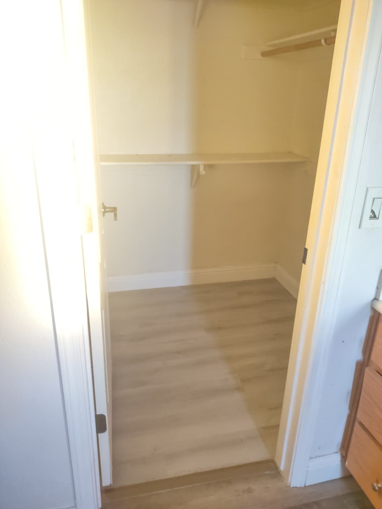 Building Photo - 3013 Collingham Ct
