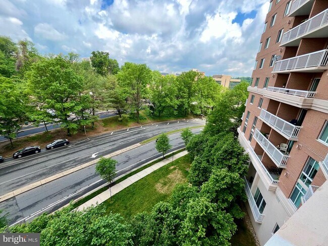 Building Photo - 3101 N Hampton Dr