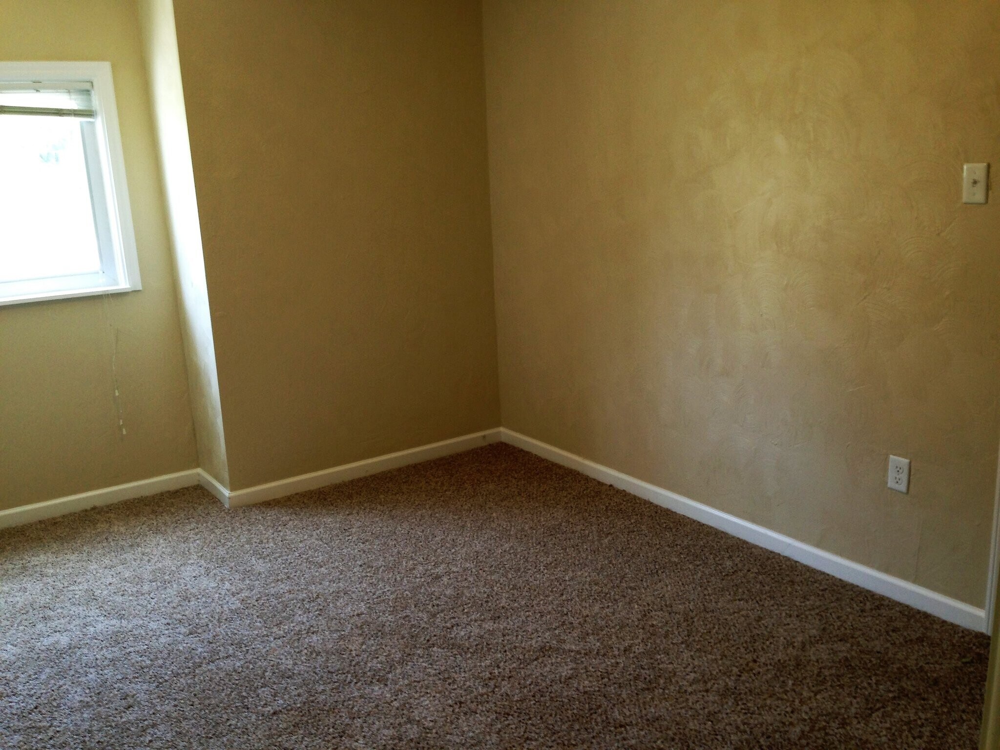 Building Photo - 651 Chess St