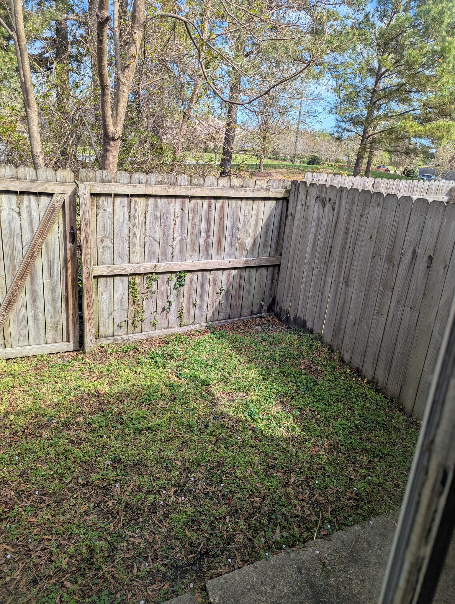 Building Photo - 3064 Comte Ct