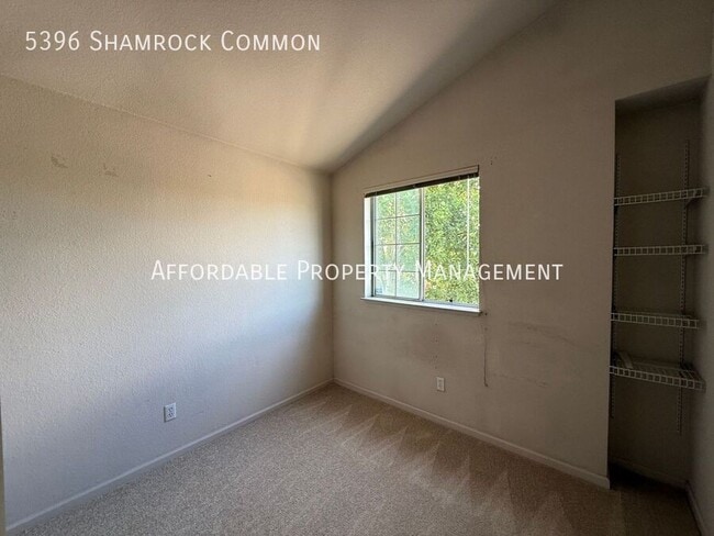Building Photo - 5396 Shamrock Common