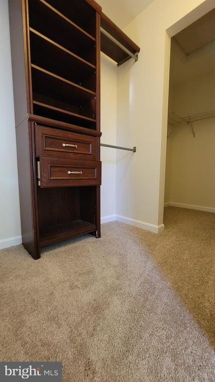 Building Photo - 13037 Town Commons Dr