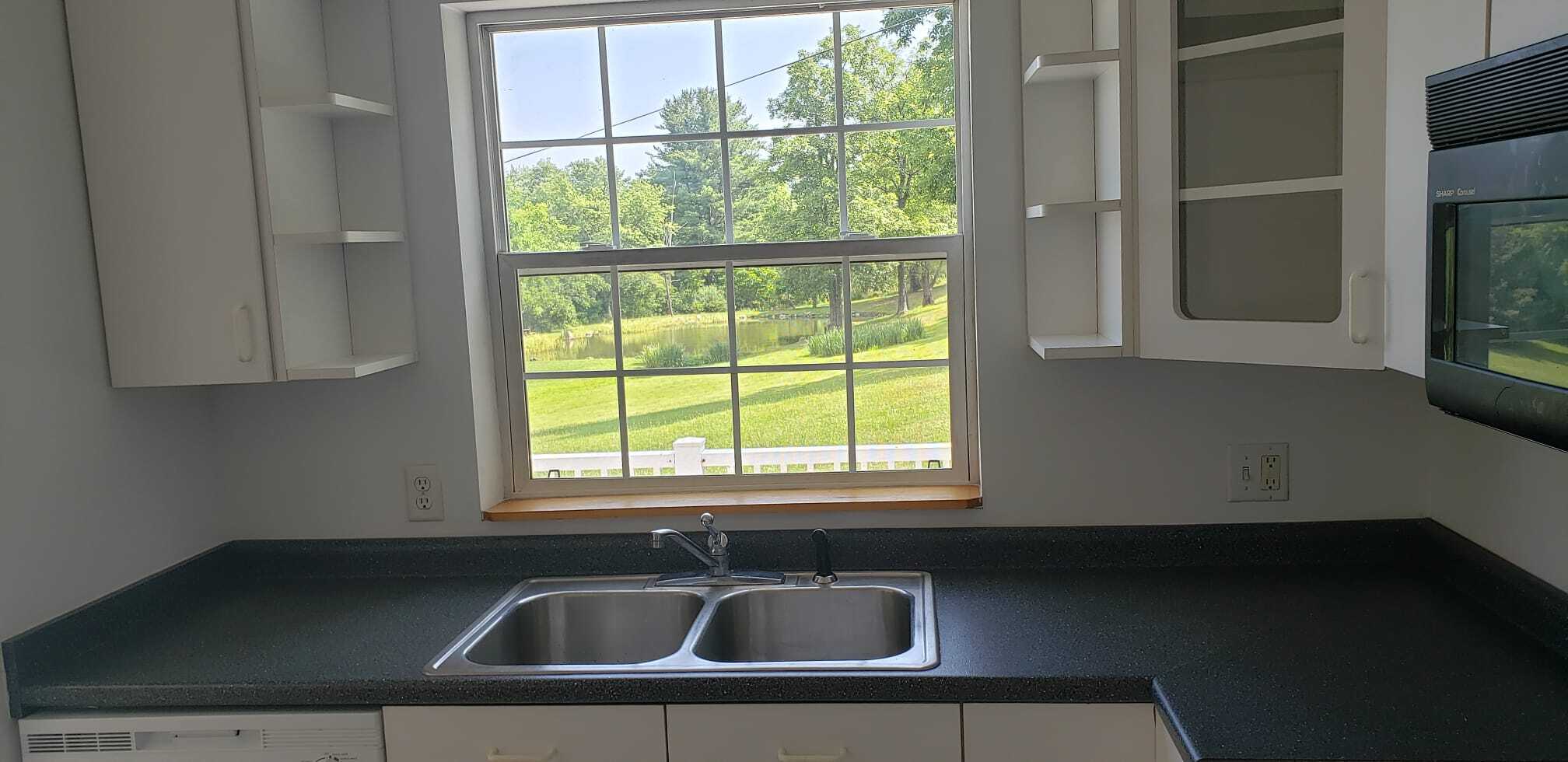 View from the kitchen - 1307 Dryden Rd