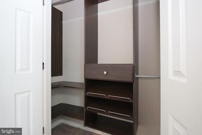 Building Photo - 2965 Chinkapin Oak Ln