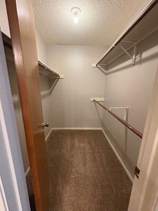 Building Photo - Beautiful Home in College Park!