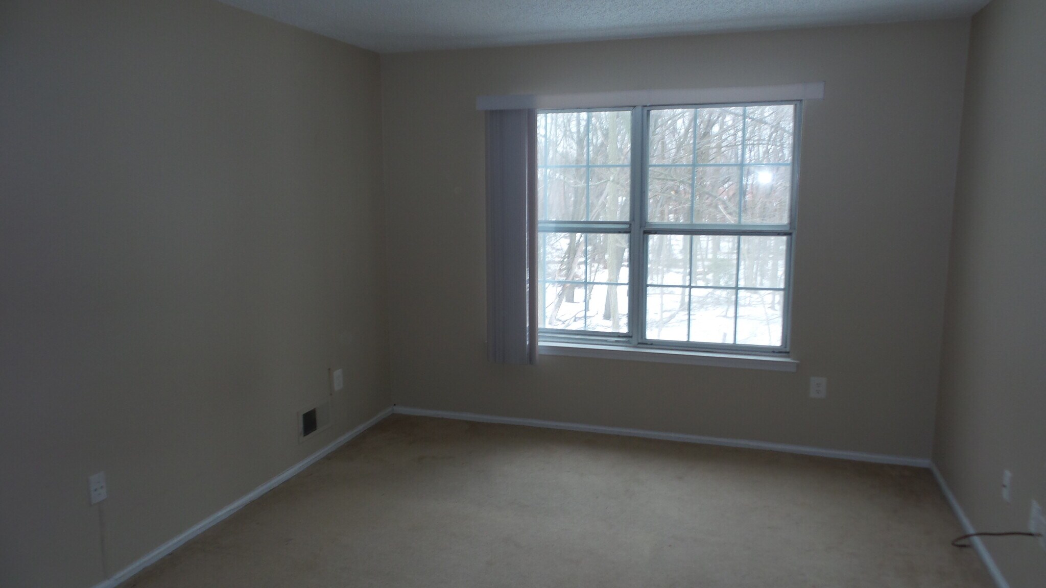 second bedroom - 103 Secretariat Ct