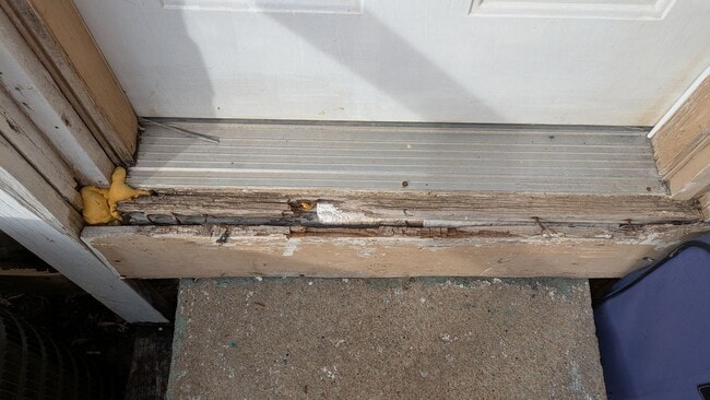 Building Photo - 806 S Saville Ave