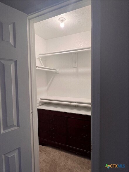 Building Photo - 4205 Bluestem Ln