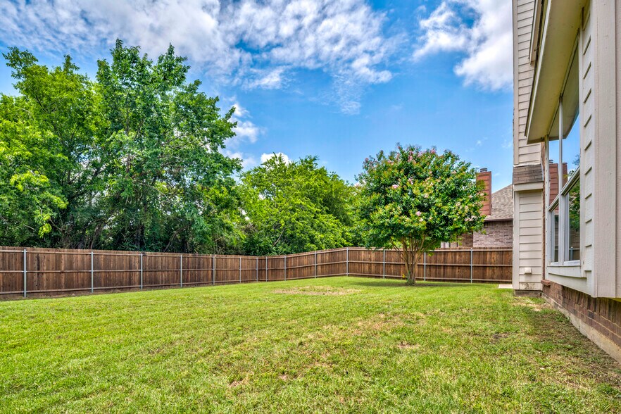 Backyard - 135 Springtree St