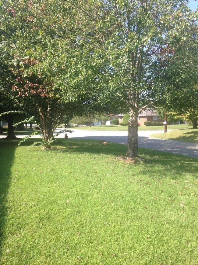 Building Photo - Immaculate three bedroom home in Ashland.