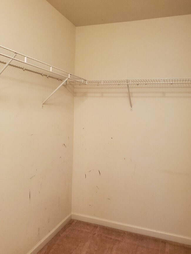 Building Photo - 13973 Catalina Dr