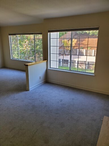 primary bedroom space - 2040 Goldenrod Ln