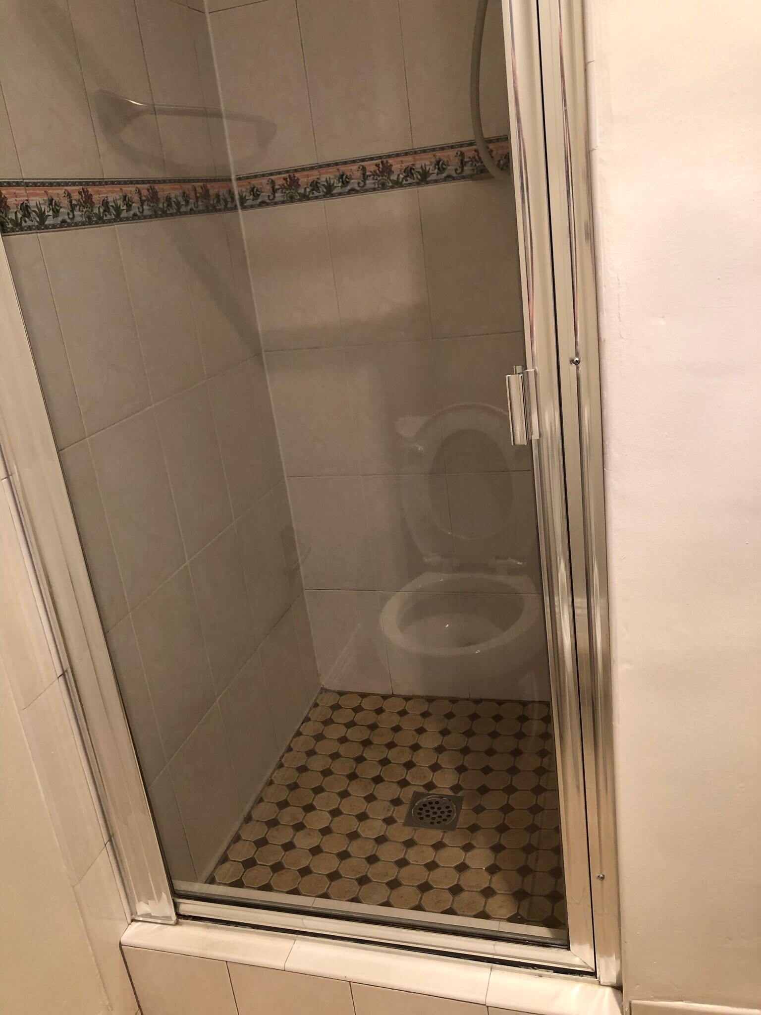 2nd bathroom - 339 S Catalina Ave