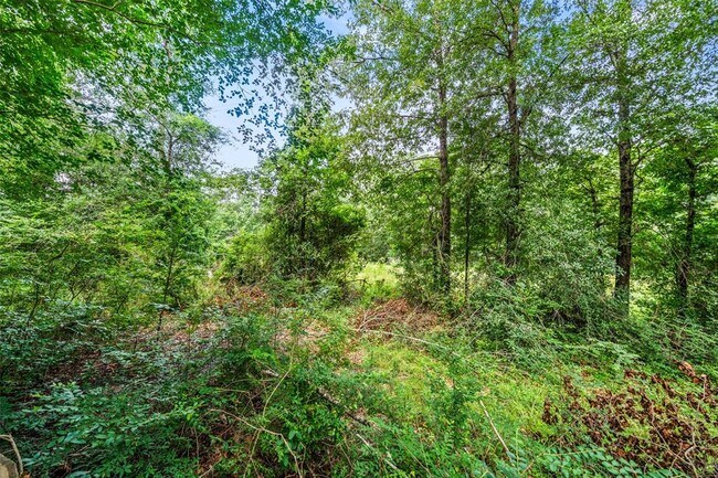 Building Photo - 18 Tulip Hill Ct