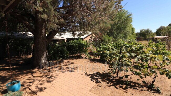 Building Photo - 1717 Cottonwood Ave