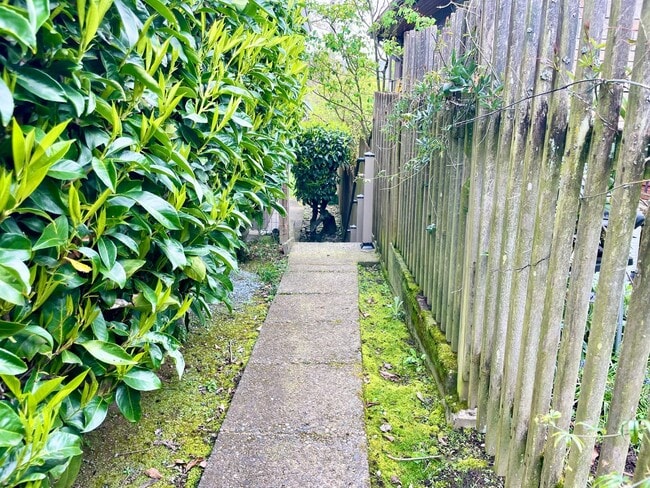 Building Photo - Charming lower level of home