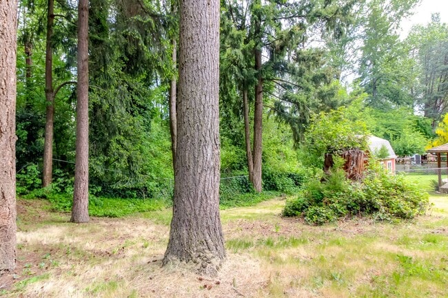 Building Photo - Four Bedroom House Near Camelot Park