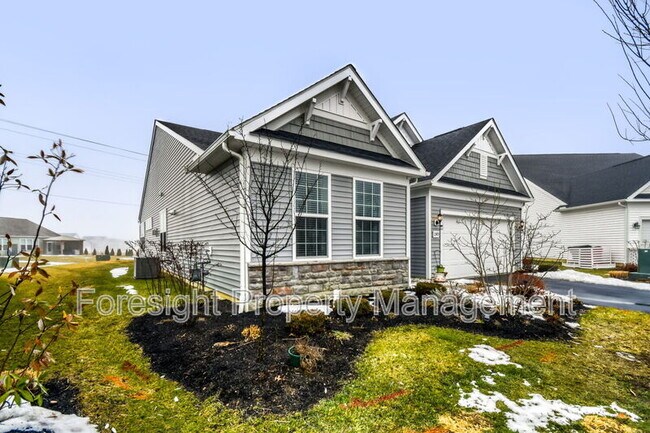 Building Photo - 1585 Nettle Ct