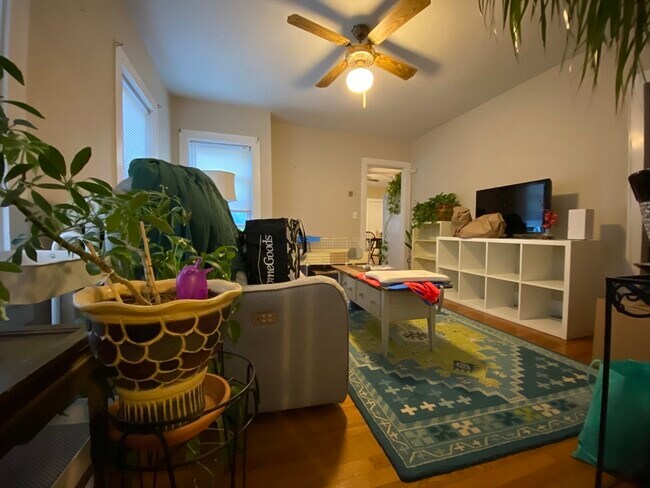 Primary Photo - 19 Esty St