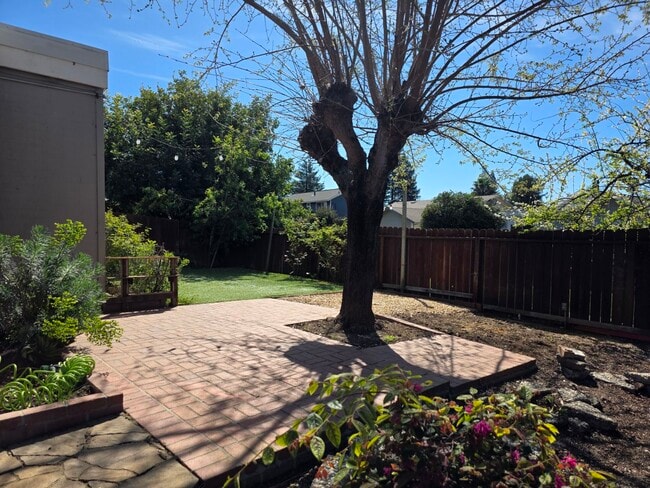 Building Photo - 437 Korbel Pl