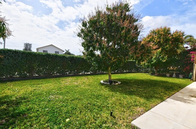 Building Photo - 1599 Isabel Rd Oeste