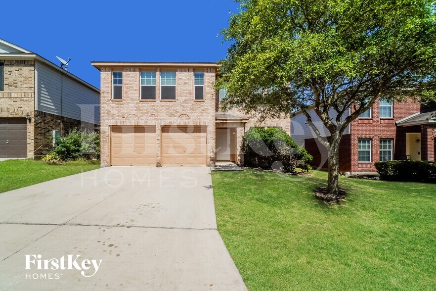 Primary Photo - 3838 Sausalito Fern