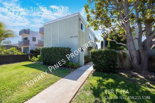 Primary Photo - 831 Opal St