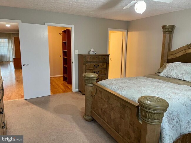 Building Photo - 7 Friendswood Ct