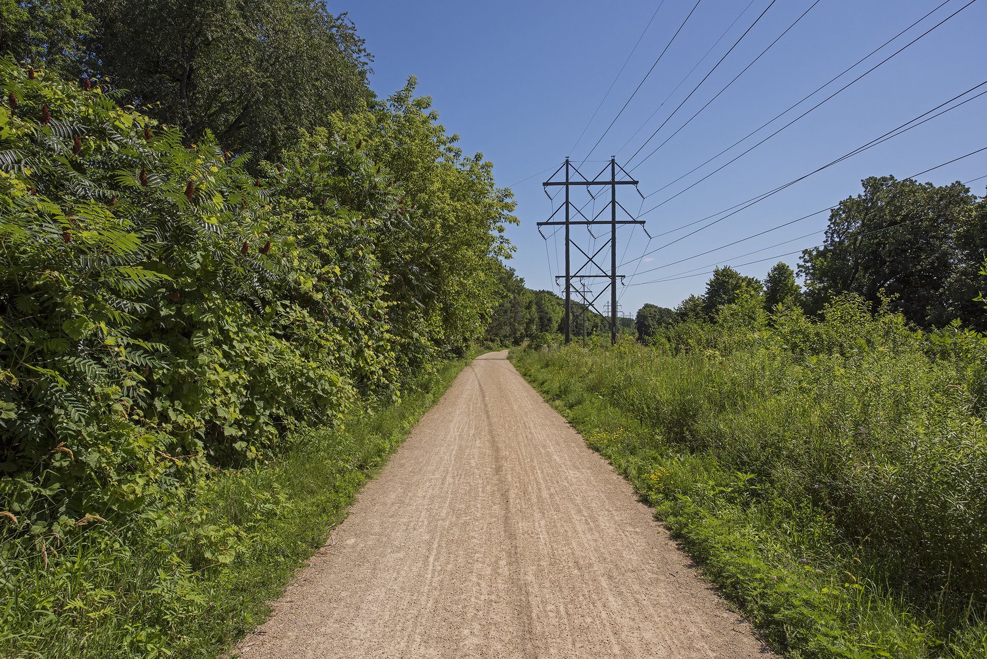 Direct access to the Luce Line Trail for year-round walking, running, biking - 145 Holly Ln N