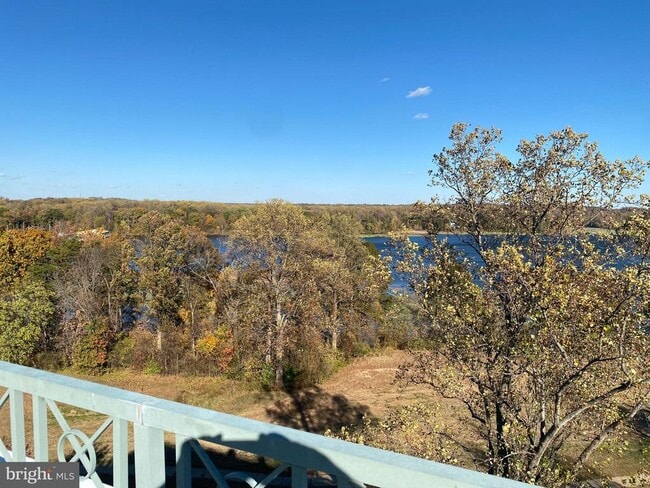 Building Photo - 820 Belmont Bay Dr