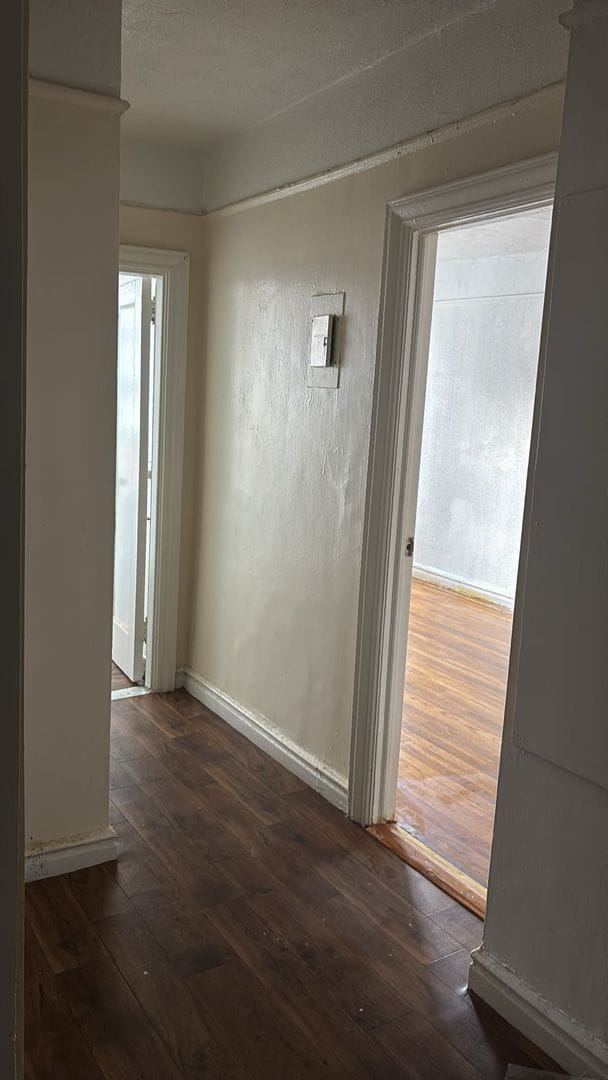Building Photo - 1265