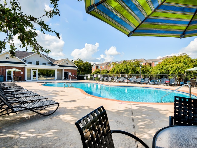 Pool - Campus Pointe at ECU