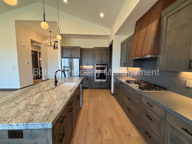 Building Photo - Brand New, Mountain Modern Home on Genoa R...