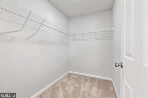 Building Photo - 105 Poinsettia Wy
