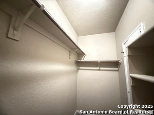 Building Photo - 254 Rosalie Dr