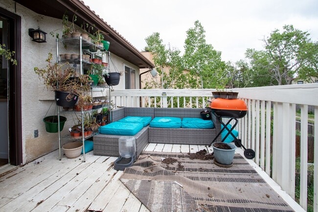 Building Photo - Beautiful Briargate Home on a Spacious Cor...