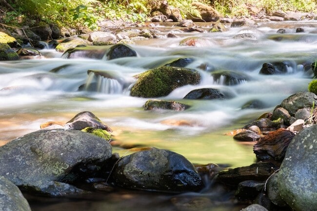 Building Photo - Rare Home on Creek Front Property!