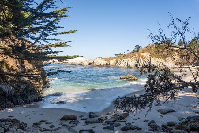 Building Photo - Bonnie's Point | Home Next to Point Lobos State Natural Reserve