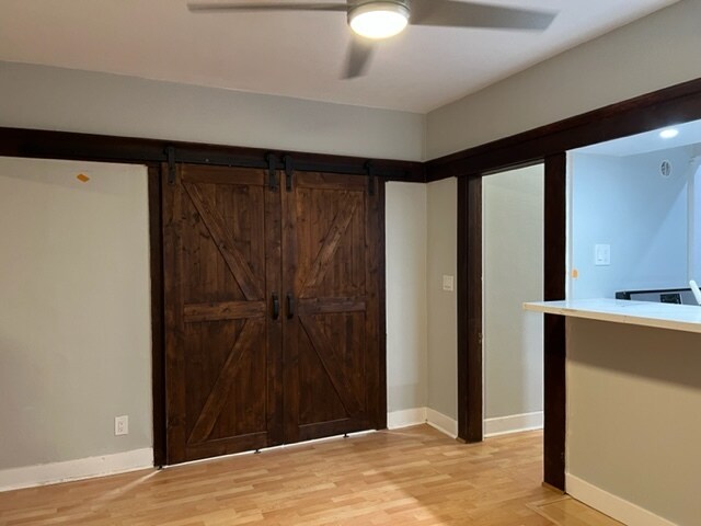 Barn door to closet in LR - 1426 E Florida St