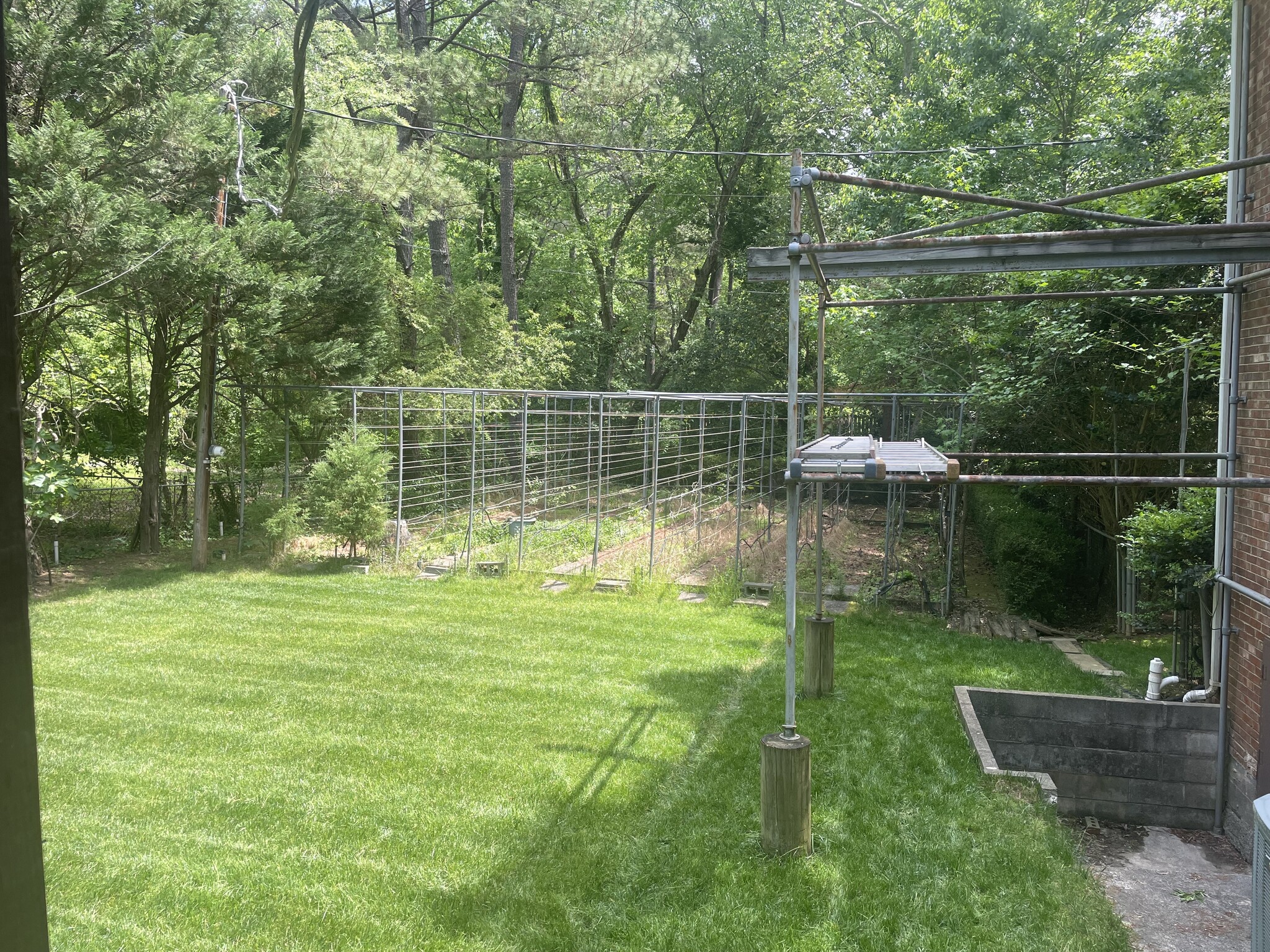 shared backyard - 725 Purdue St