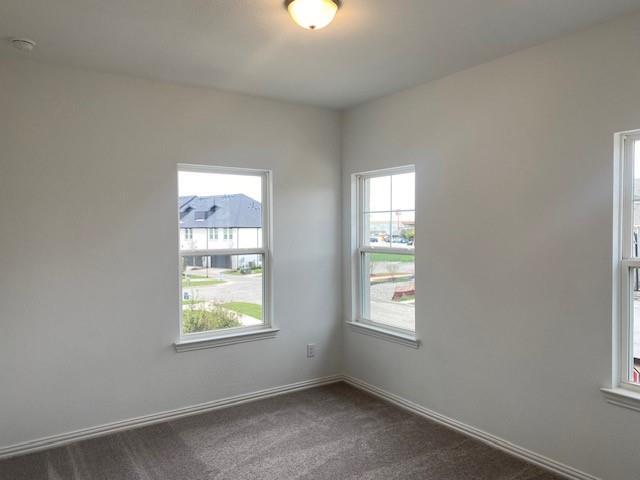 Building Photo - Wild Daisy LLC
