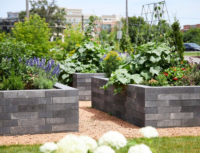 Building Photo - 11330 N Buntrock Ave