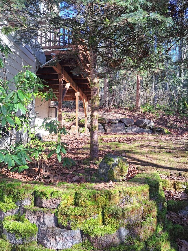 Building Photo - Secluded 5 bedroom Amazing Views Green Space