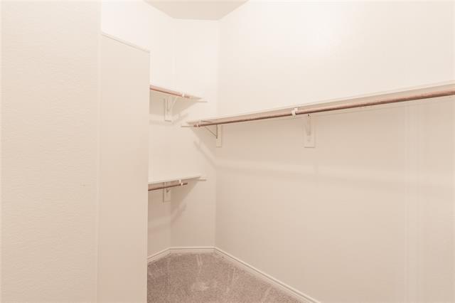 Building Photo - 1627 Balboa Ln