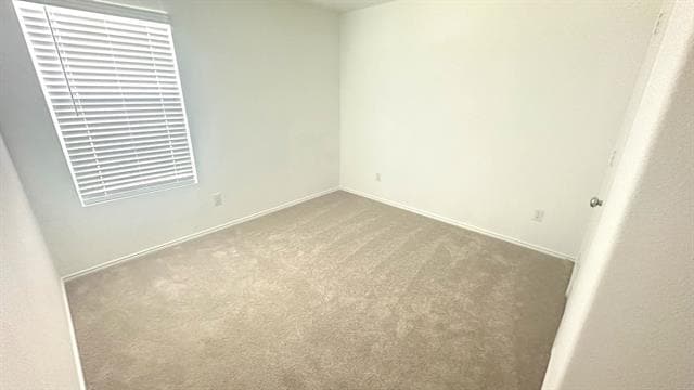 Building Photo - 3420 Flicker Ln