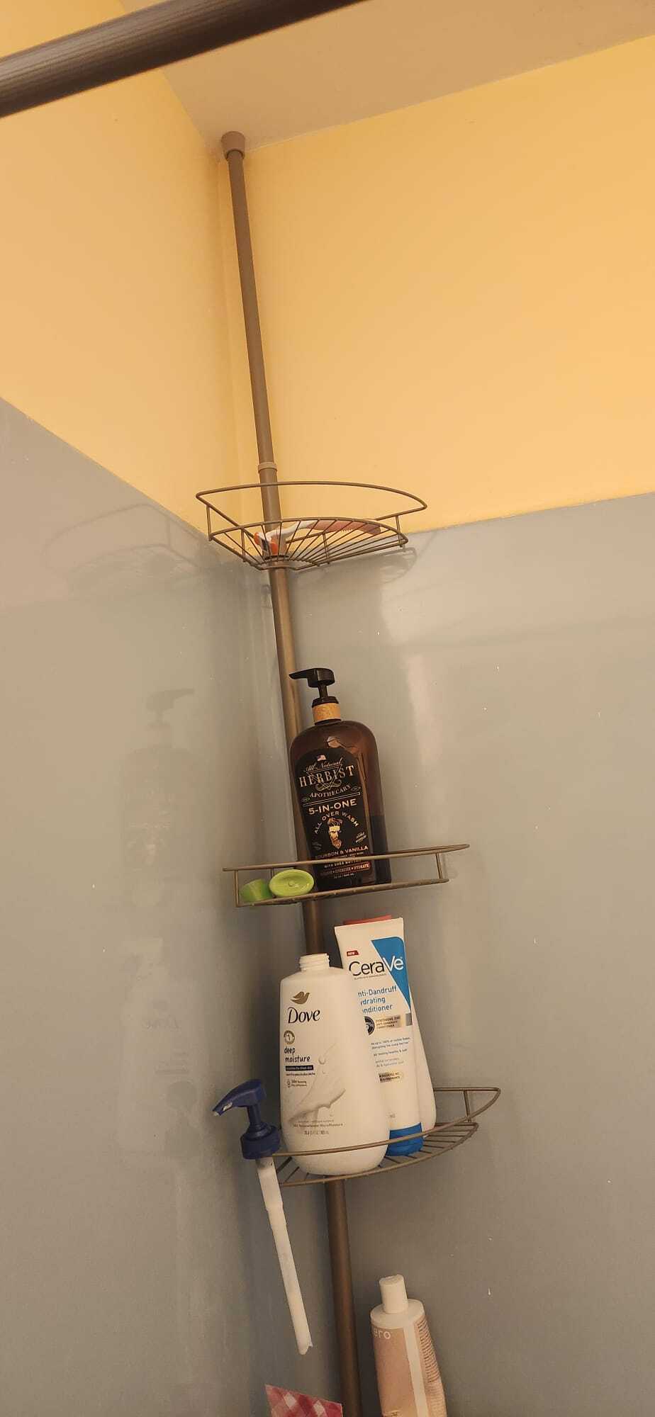 Shared Bathroom shower3 - 2116 Thaler Ave