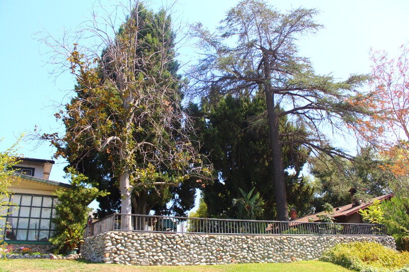 Building Photo - 5648 Berkshire Dr