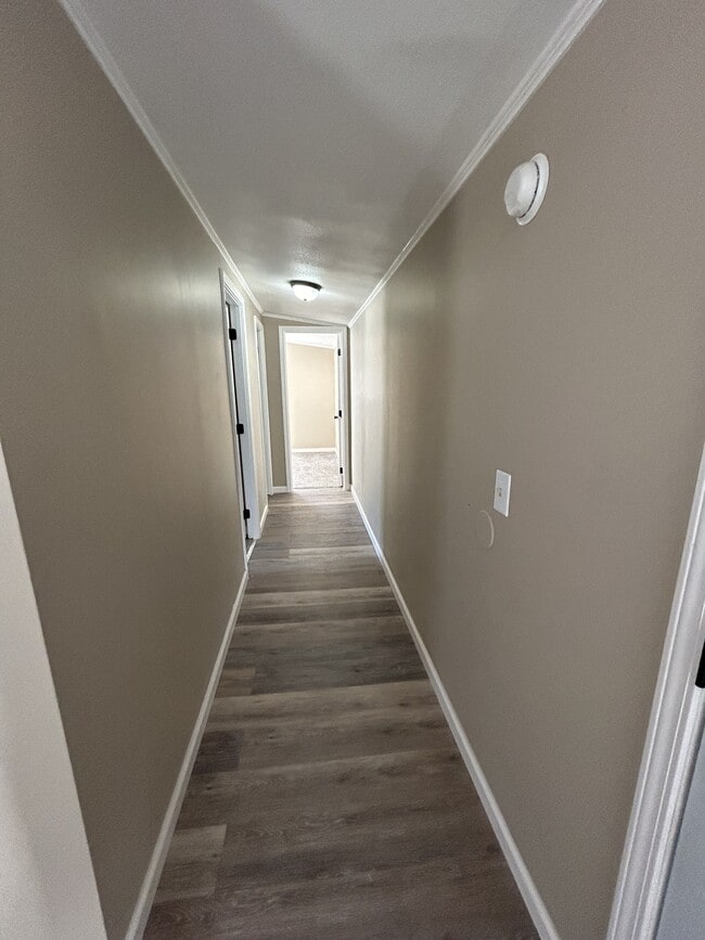 Building Photo - 526 Chris St