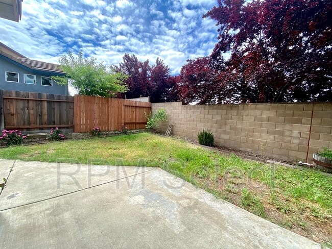Building Photo - 637 Lavastone Dr