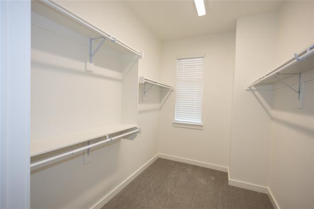 Building Photo - 871 Cavitt Ct
